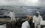 Marée noire: Erika, les pollueurs paieront