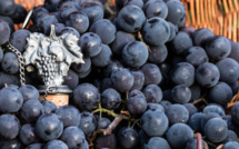 L’Œnologie : Une Science aussi noble que le Vin !