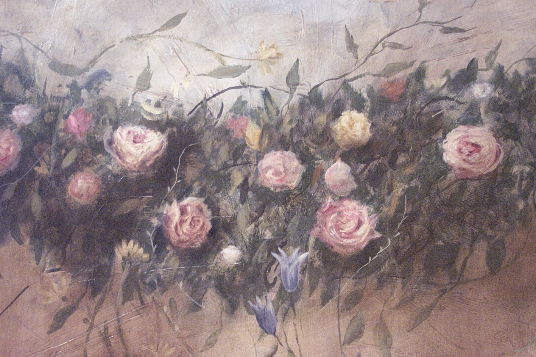 DCP_5521.JPG DCP_5521.JPG