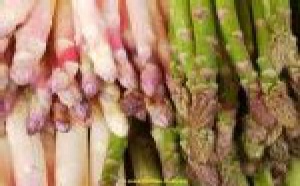 Avec le printemps, vive l'asperge !
