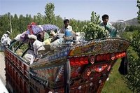 Monde: menace de catastrophe humanitaire au Pakistan
