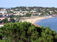 España Editoweb 31 julio 2009