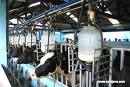 L'UE débloque 280 millions d'euros pour la filière lait