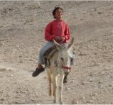 Bedouin Arabe qui s'enfuit à dos d'Âne?