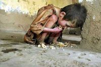 Famine pour sept millions d'Afghans et autres actus monde
