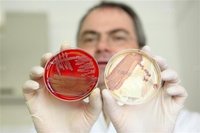 Santé: L'Allemagne admet des erreurs sur la bactérie et autres actus