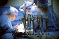 Santé: Première greffe d'organe artificiel