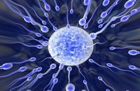 Sciences: trouble de la fertilité
