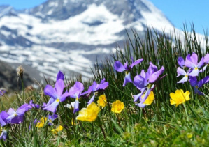 Immobilier Suisse Immobilier Suisse