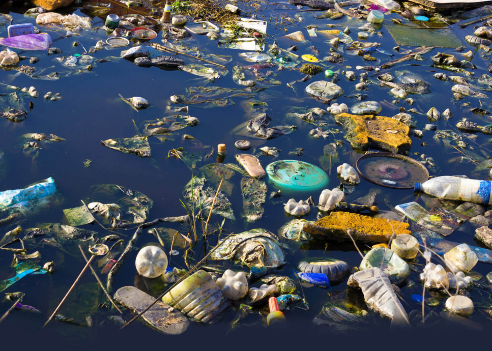 Biodiversité, un rapport consensuel de l'ONU sonne l'alarme Biodiversité, un rapport consensuel de l'ONU sonne l'alarme