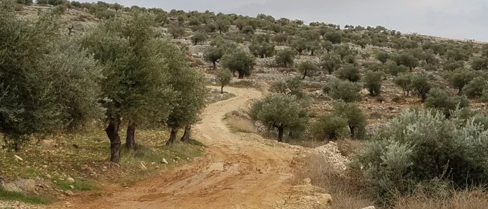 Pourquoi TRUMP ne veut pas de l'accord du siècle Pourquoi TRUMP ne veut pas de l'accord du siècle