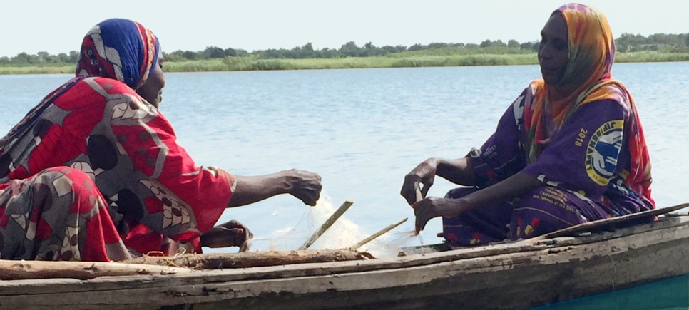 Réchauffement climatique: les populations du Lac Tchad dans la désolation Réchauffement climatique: les populations du Lac Tchad dans la désolation