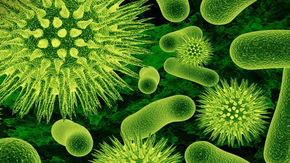 Covid19: faut-il se méfier des superinfecteurs? Covid19: faut-il se méfier des superinfecteurs?