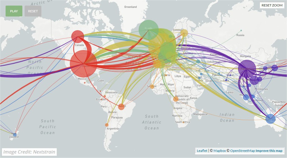 Coronavirus Covid 19: sur la voie du vaccin Coronavirus Covid 19: sur la voie du vaccin
