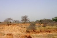 La Cédéao et le nord Mali
