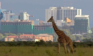 Coronavirus Kenya : 4 738 cas après 100 jours Coronavirus Kenya : 4 738 cas après 100 jours