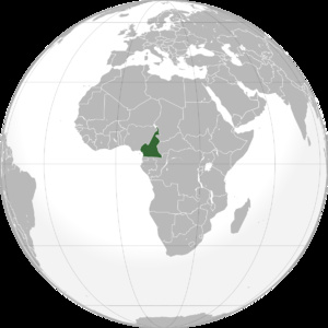 Cameroun : la France opte pour la libération des personnes arrêtées le 22 septembre