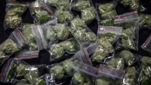 Chiayi a fait grimper le prix du marché de la plus grande usine de cannabis de Taiwan à plus de 500 millions Chiayi a fait grimper le prix du marché de la plus grande usine de cannabis de Taiwan à plus de 500 millions