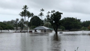 Revue de presse Hawaï Revue de presse Hawaï