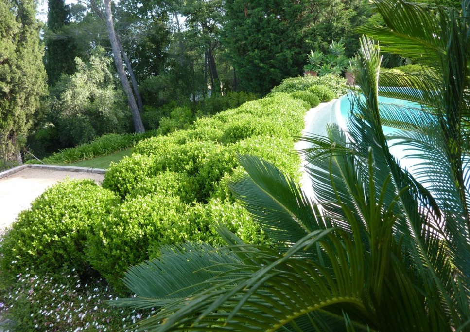 Alimentation anti-âge ? Questions ? Alimentation anti-âge ? Questions ?