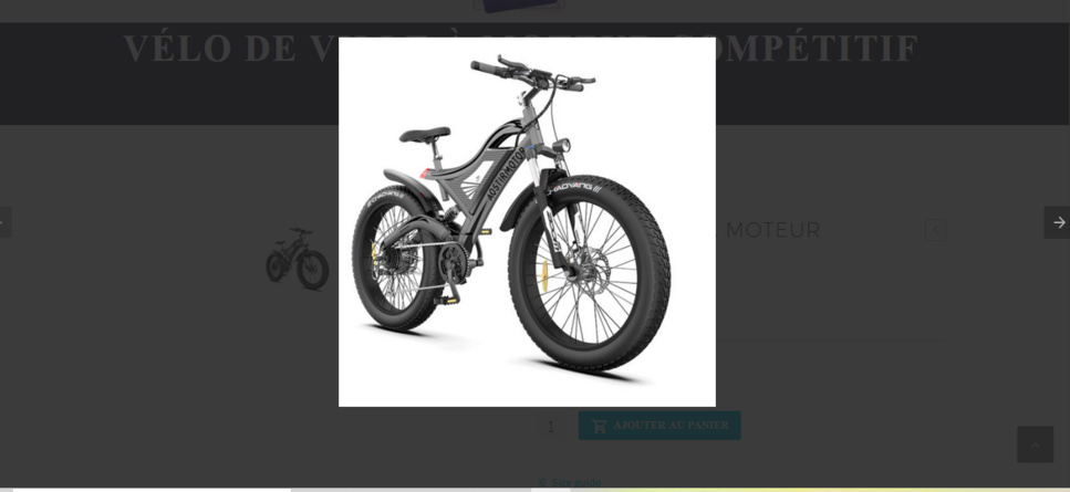 C'est quoi un E Bike ? C'est quoi un E Bike ?