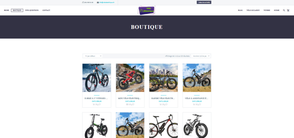 Quel vélo électrique acheter ? Quel vélo électrique acheter ?