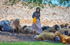 Un adolescent palestinien porte la cicatrice de la bataille pour l'expulsion de Jérusalem Un adolescent palestinien porte la cicatrice de la bataille pour l'expulsion de Jérusalem