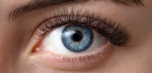 Le protocole pour garder des yeux de lynx toute sa vie. Le protocole pour garder des yeux de lynx toute sa vie.