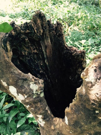 Retour de l'être aimé retour affectif marabout voyant Godiba Vaujours Retour de l'être aimé retour affectif marabout voyant Godiba Vaujours