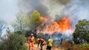 Incendie dans le Var : 4000 hectares ravagés, 1100 pompiers déployés