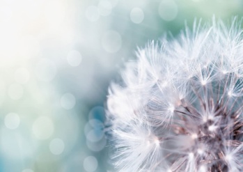 Voyant marabout professeur Ali être aimé 91 Essonne: Evry, Palaiseau, Etampes Voyant marabout professeur Ali être aimé 91 Essonne: Evry, Palaiseau, Etampes