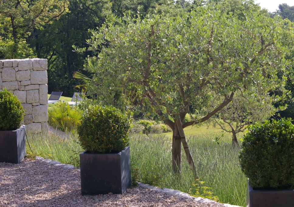 Les meilleurs bains thermaux de Suisse Les meilleurs bains thermaux de Suisse