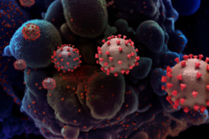 Sarthe : 5 personnes vaccinées décèdent du Covid dans un Ehpad Sarthe : 5 personnes vaccinées décèdent du Covid dans un Ehpad