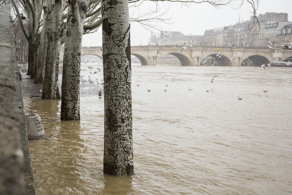 Inondation à paris: une situation inattendue cette saison ! Inondation à paris: une situation inattendue cette saison !
