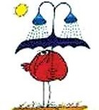 France: élections municipales et cantonales