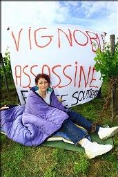 Législatives 2007:La cousine de Ségolène Royal (FN) dans les vignes