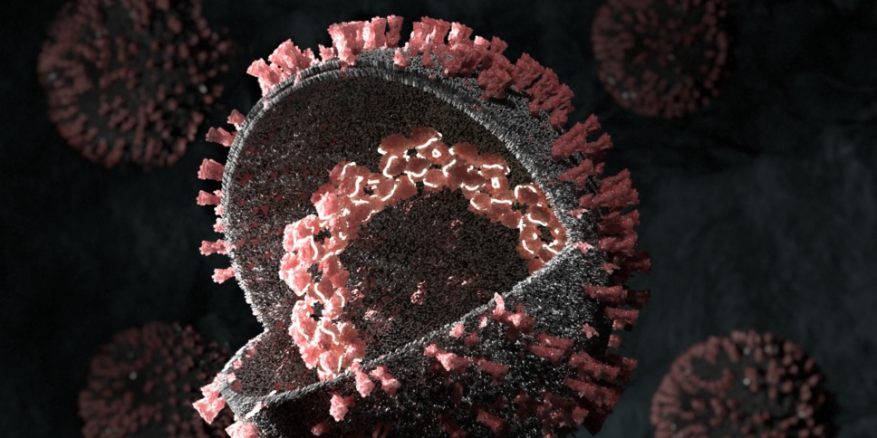 Covid-19 : le rebond épidémique en France est déjà là Covid-19 : le rebond épidémique en France est déjà là