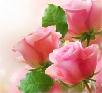 Marabout africain du retour affectif en Belgique, Bruno est médium et guérisseur |mise à jour| Marabout africain du retour affectif en Belgique, Bruno est médium et guérisseur |mise à jour|