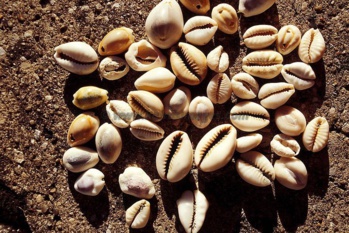 Professor LATIF, Grande vidente na Zambujeiro, Açores, em portugal, Curandeiro, Especialista em resolver problemas o mais rápido possível Professor LATIF, Grande vidente na Zambujeiro, Açores, em portugal, Curandeiro, Especialista em resolver problemas o mais rápido possível