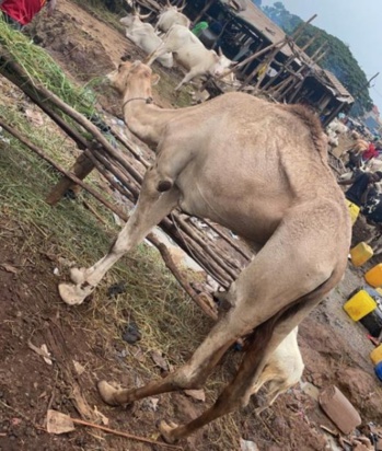 Isaac: récupérer son EX par la Magie Blanche ou la Magie Noire Hérault 34: Montpellier, Béziers Isaac: récupérer son EX par la Magie Blanche ou la Magie Noire Hérault 34: Montpellier, Béziers