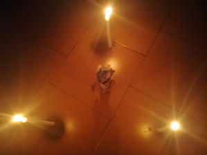 ABBAS medium de protection et guérison des maladies Châteauroux ABBAS medium de protection et guérison des maladies Châteauroux