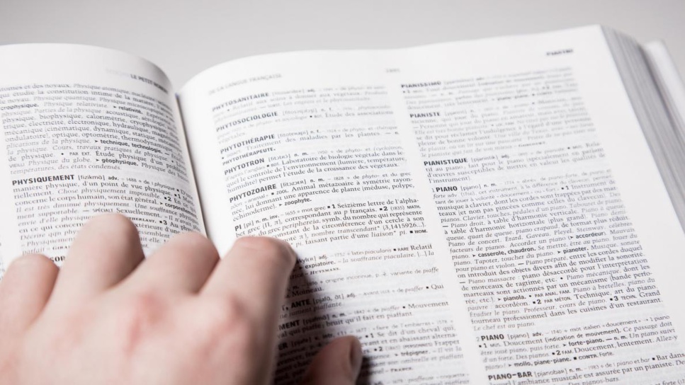 Ces nouveaux mots dans le dictionnaire qui font couler beaucoup d’encre Ces nouveaux mots dans le dictionnaire qui font couler beaucoup d’encre