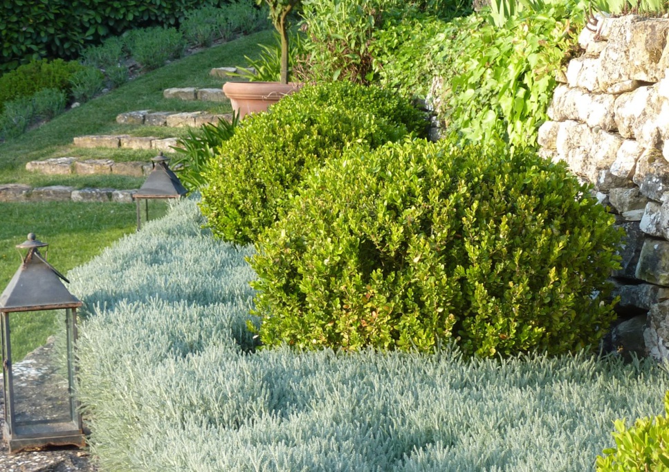 Que faire en visitant Genève ? Que faire en visitant Genève ?