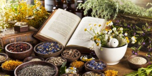 IMPORTANT A LIRE ABSOLUMENT : Le pouvoir des plantes - Ce que les autorités de santé refusent d'avouer IMPORTANT A LIRE ABSOLUMENT : Le pouvoir des plantes - Ce que les autorités de santé refusent d'avouer