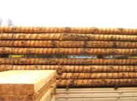 François Fillon dépose plainte et requête François Fillon dépose plainte et requête