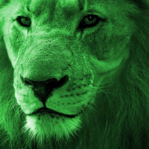 Être vu, reconnu et populaire sur Internet Être vu, reconnu et populaire sur Internet