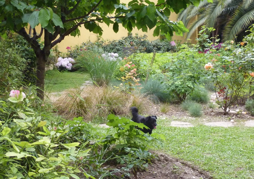 Comment choisir un bon engrais ? Comment choisir un bon engrais ?