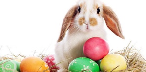 Pâques : Origines et anecdotes d'une fête importante Pâques : Origines et anecdotes d'une fête importante