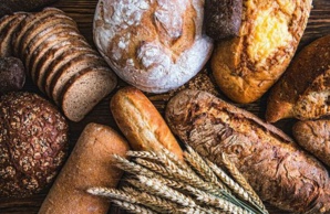 Le scandale du pain moderne - Voici comment trouver du BON et VRAI PAIN Le scandale du pain moderne - Voici comment trouver du BON et VRAI PAIN