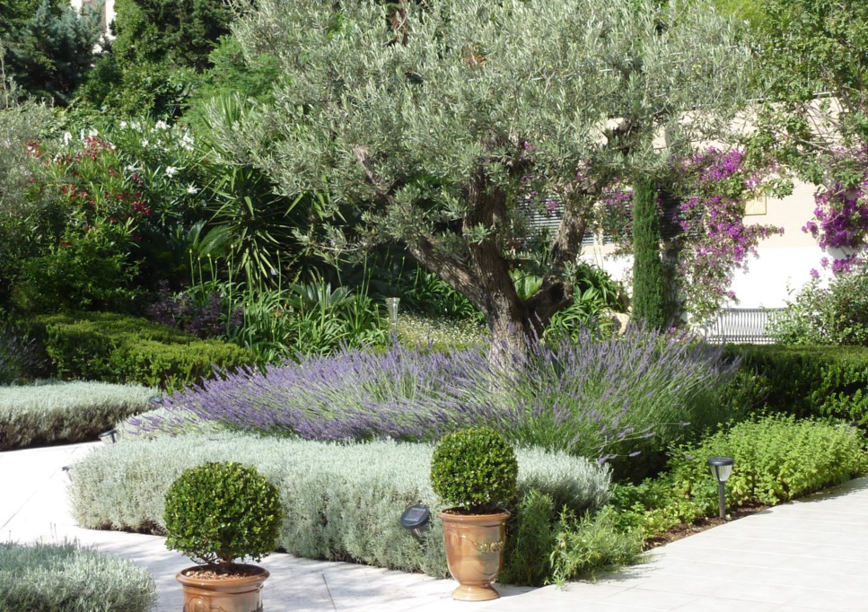 Site internet de location de voiture Site internet de location de voiture